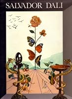 SALVADOR DALI: 247 EDITIONS ORIGINALES 1964-1985 B000PIDS3S Book Cover