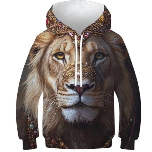 Pull-over 3D lion royal pour garçon sweat à capuche finitions d'automne haut de gamme