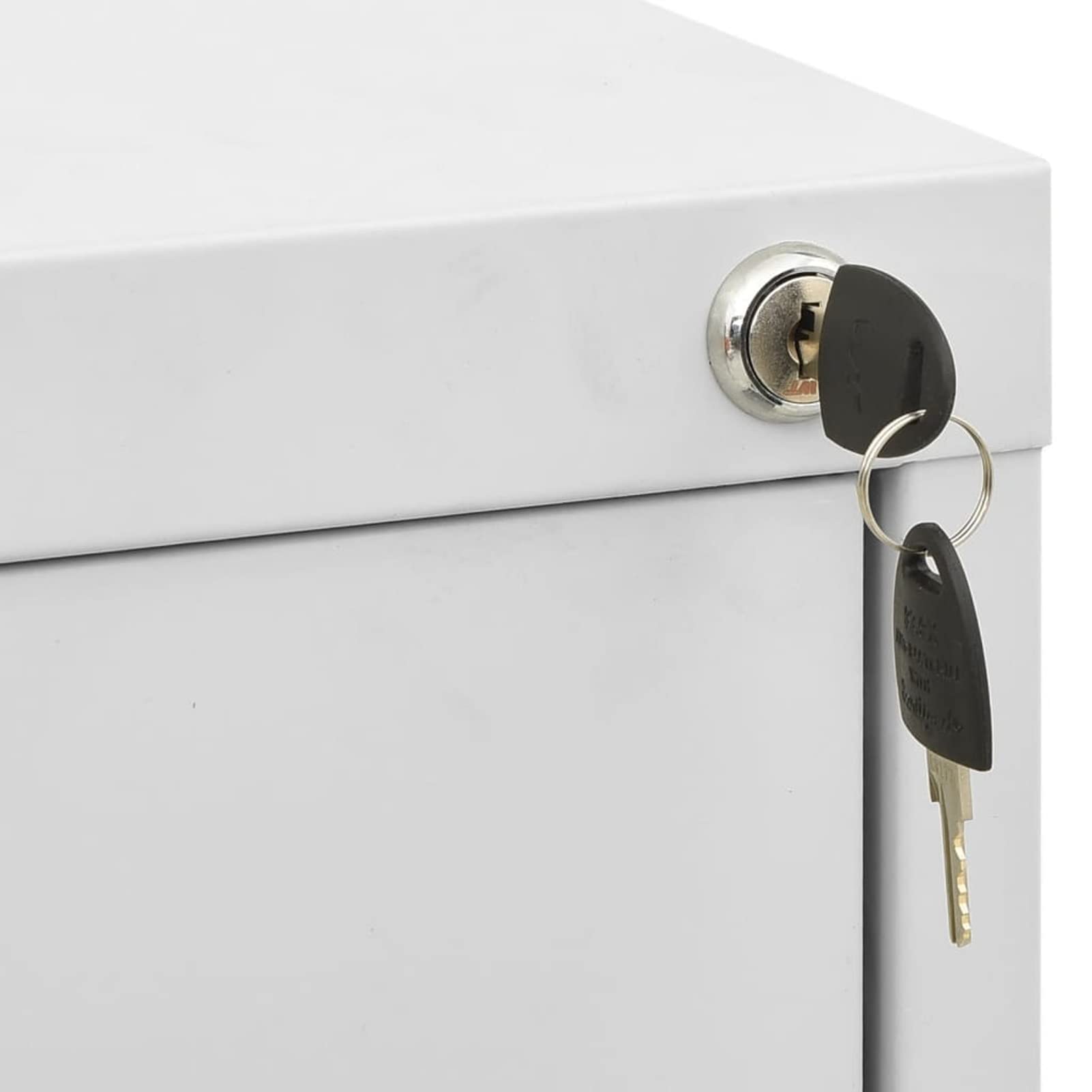 LAPOOH Schedario Grigio Chiaro 46x62x72,5 cm in Acciaio,Schedario,Schedario da Ufficio,Mobiletto per Documenti(SPU:336271)