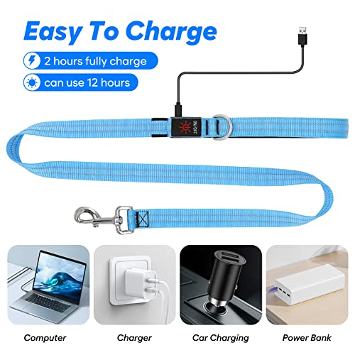 Koskill 4 Ft Led Dog Leash, Rechargeable Light Up Dog Leash Waterproof, Safety Glow In The Dark Dog Leash For Night Walking, Nylon Reflective Leashes With Padded Handle For Small Medium Large Pets #TOP4