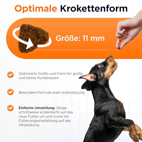 Hypoallergen | Getreidefreies Hundefutter trocken | Lamm & Reis | Magen schonend für ernährungssensible Hunde | Mit hohem Fleischanteil (3kg)