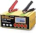 12A Ladegeräte für Autobatterien, 12V/24V Intelligentes Ladegerät Autobatterie mit LCD Bildschirm, Ladegerät Auto und Motorrad, Batteriepfleger mit Rekonditionierungsmodus und AGM