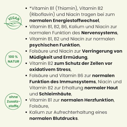 Panaktiv® - flüssige Bierhefe, 500 ml • Vitamin B1, B12, Folsäure, Biotin, Vitamin B2, B6, Niacin, Zink • für einen aktiven Stoffwechsel • für schöne Haut und Haare • reines Naturprodukt