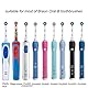 Nincha Elektrische Zahnbürsten-Etui Reise-Etui für Oral-B Elektrische Zahnbürste Serie, Platz für 1 Handstück und 2 Aufsteckbürsten, Transparent