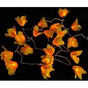 Guru-Shop papieren rozen led-lichtketting, 20 stuks – rood, skeletblaadjes, bloemen-lichtketting.