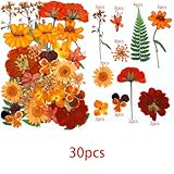 Zoom IMG-2 cayway 4 pacco fiori secchi Zoom IMG-2 cayway 4 pacco fiori secchi