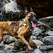 OneTigris X Commander Taktisches Hundegeschirr, Air Mesh Brustgeschirr Hund mit 1 Komfortgriff und 2 Metall-D-Ring, Hochpräzises Laserschneiden Langlebig Nylon Geschirr Hund mit Reflektierenden