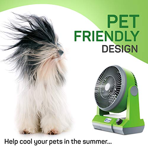 Überall Ventilator Tragbares Camping Schnurloses persönliches Tischventilator Leistungsstarke einstellbare Kühlung Innen- Außenventilator 10 „Zoll 13 Watt Home Office (BATTERIE NICHT ENTHALTEN)-6