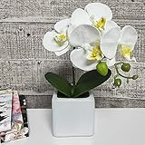 LIVILAN Artificial Flower Arrangement Lifelike Silk Orchid Artificial Flower with Decorative Ceramic White Square Vase Vivid Potted Orchid Plant,White