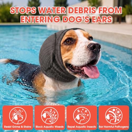 Image of Dog Calming Hood Ear Cover for Anxiety Relief, Grey, L | Soft Stretch Head Wrap with Padded Ear Muffs, No Hook-Loop Noise Reducing Snood for Grooming, Bathing,Travel & Vet Visit