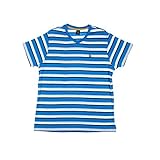 U.S. Polo Assn. Men's V-Neck T-Shirt with Embroidery