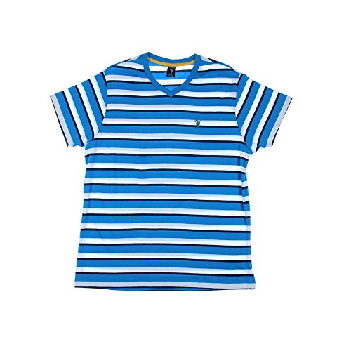 U.S. Polo Assn. Men's V-Neck T-Shirt with Embroidery