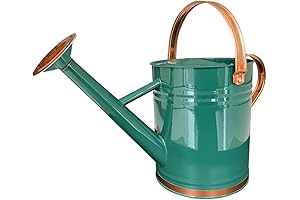 Decorative Yet Practical: 1-Gallon Metal Watering Can for Nurturing Your Indoor and Outdoor Oasis