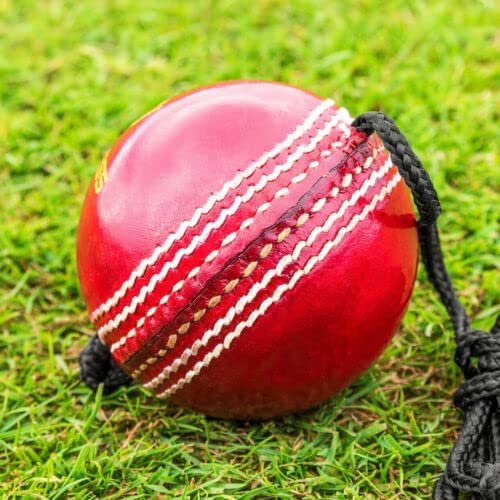 REINDEER Training Cricket Red Leather Hanging Ball for Senior Players (150Gm-170Gm Each), Pack of 1 - Image 2 thumbnail