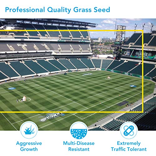 Barenbrug Turf Blue Healthy Grass Technology Grass Seed with Yellow