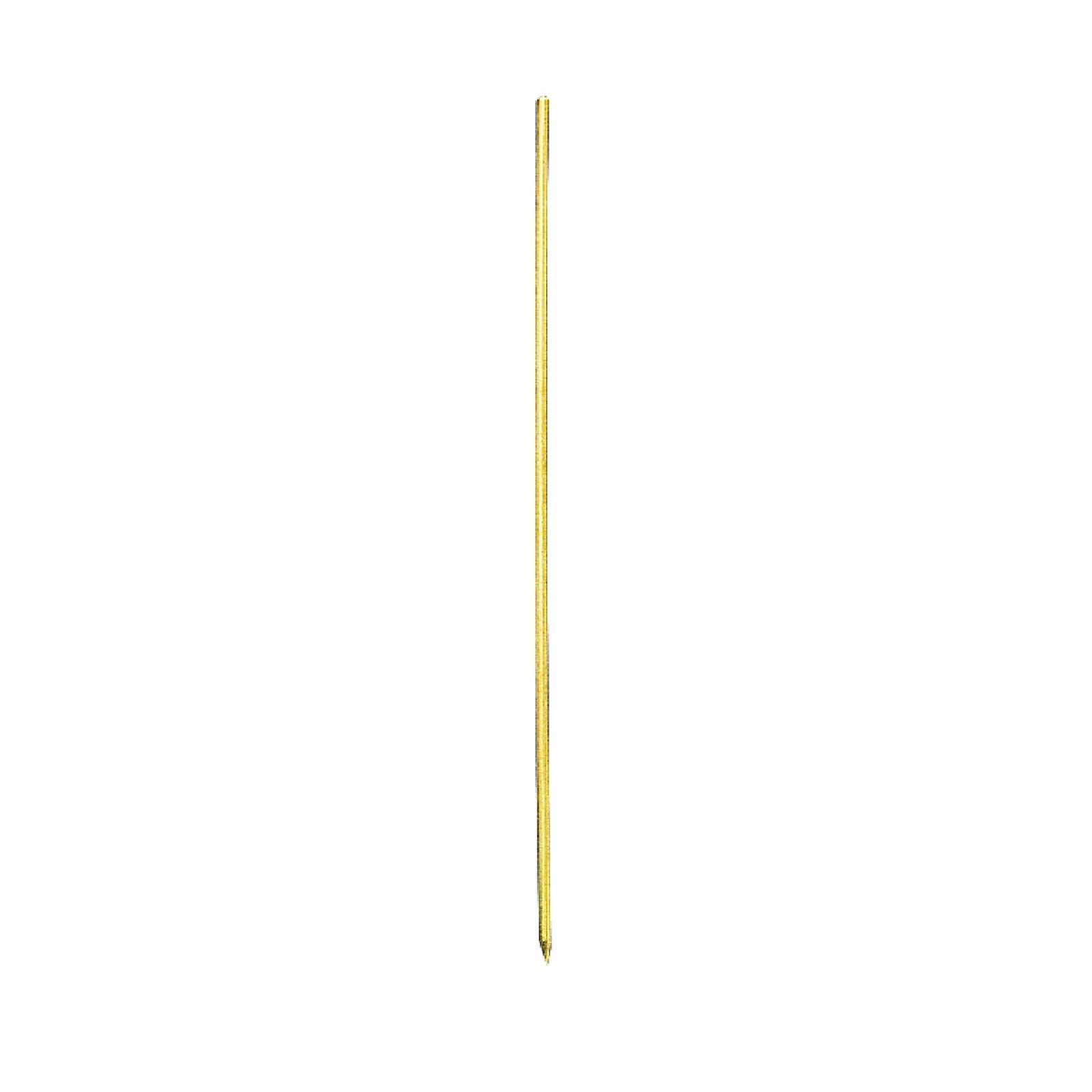 Worm Needle Pack of 2, silver, 15.0