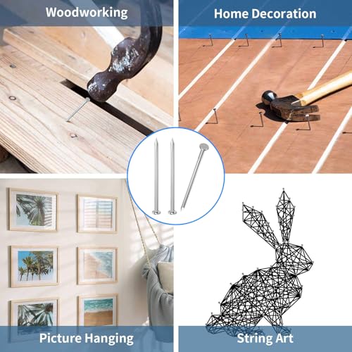 1300PCS Galvanized Steel Hardware Nails with Storage Box, 3/4 Inch Flat Head Nails for Hanging Pictures and Woodworking, Picture Hanging Nails, Small Nails, Wall Nails, Wood Nails, Finishing Nails - Image 6