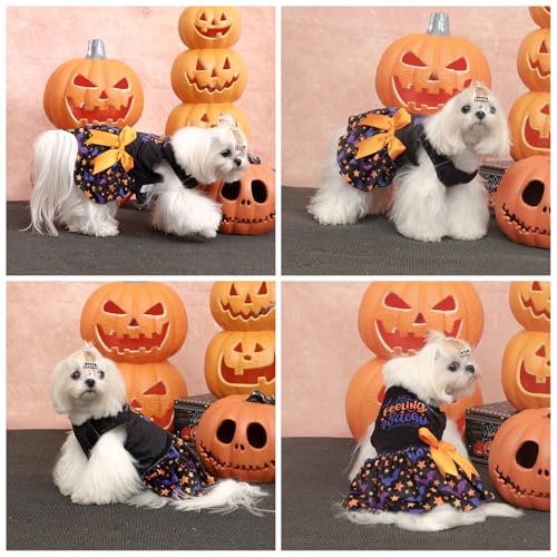 Robe d'Halloween pour chien en velours doux, vêtement confortable - 4
