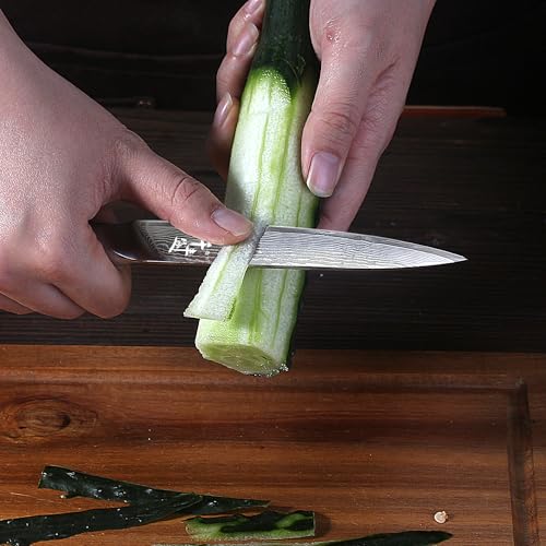 QIANFENGSHENG Damask Paring Knife 14.5 cm Vegetable Knife VG10 Damask Stainless Steel – Ansicht 5