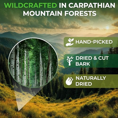 Image of 2 oz. Aspen Bark Herbal Tea (Populus tremula) - 56g Dried Aspen Bark Herb Tea Corteza de Alamo Temblon