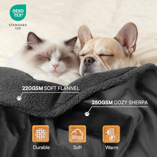 Image of Luciphia Waterproof Pet Blanket, Liquid Pee Proof Dog Blanket for Sofa Bed Couch, Reversible Sherpa Fleece Furniture Protector Cover for Small Medium Large Dogs Cats, Black Queen Size(90 inch x 82 inch)