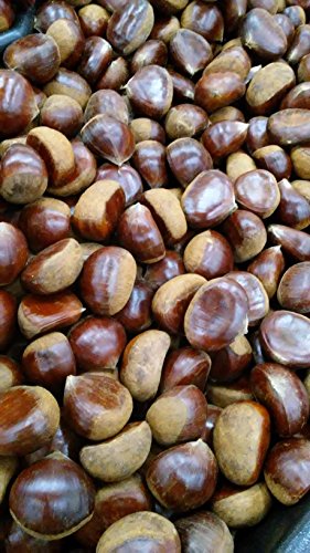 Fresh -GPS-raw chestnut 3 Lbs