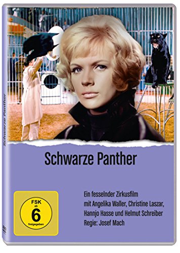 Preisvergleich Produktbild Schwarze Panther