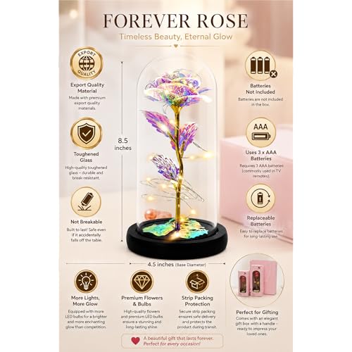 Image of Divyakosh Rose Glass Dome Lamp | Aesthetic Room Decor Light for Bedroom, Bedside & Living Room | Cute Romantic Gift for Girlfriend, Wife & Couples | Modern Decorative Showpiece