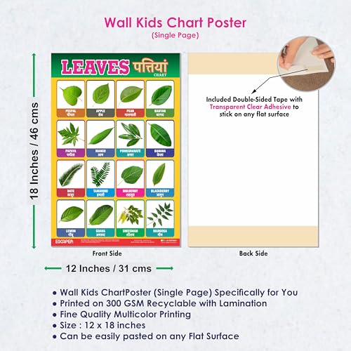 Image of ESCAPER Leaves Educational Charts for Kids, Charts for Kids Learning (11.5 x 17.5 inches), Kids Study Material, Kids Learning Books, Educational Posters