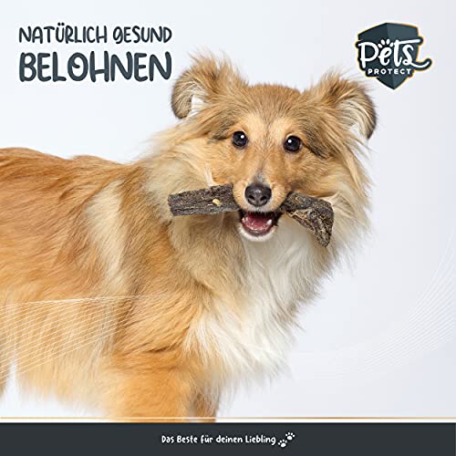 100% Rinderpansen getrocknet | Für Hunde | Extra große Stücke | Natürlicher Kauspaß für Zwischendurch | Ohne Chemie & künstliche Zusätze | Von Deutschen Rindern | 500g | Deutsche Herstellung