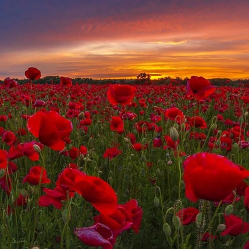 Il weekend del 1/3 Maggio 2026