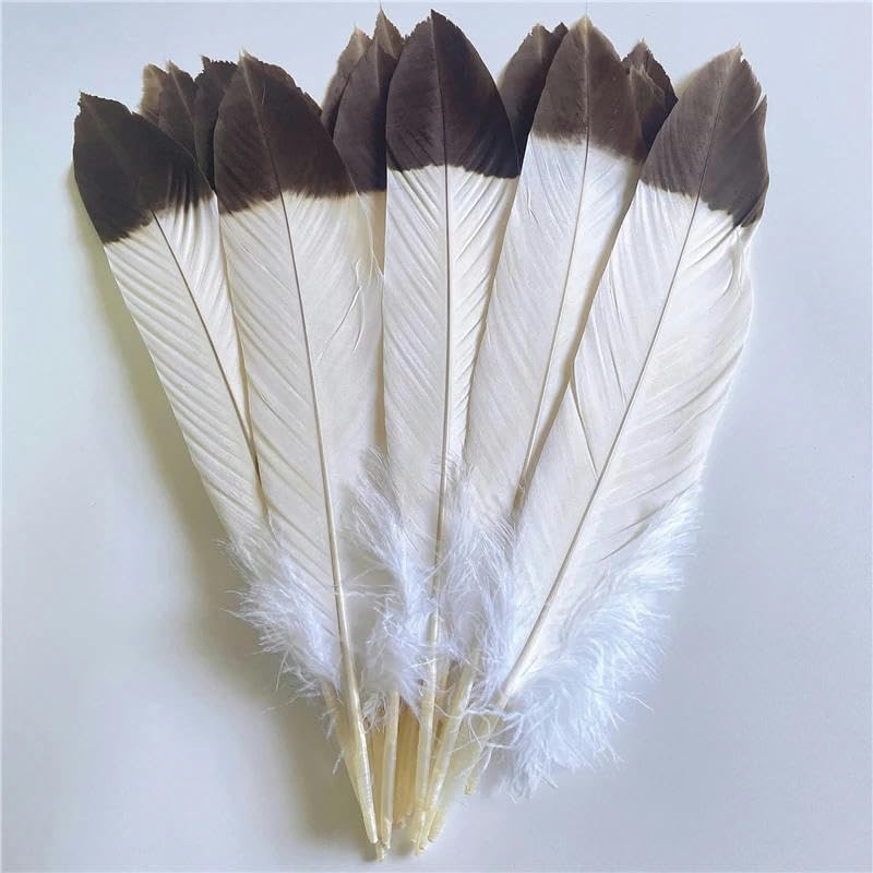 Lot De 6 Plumes De Faisan Naturelles - 30-35 Cm - Déco Loisirs Créatifs, Chapeaux, Vêtements