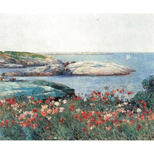 Toile coquelicots Isles of Shoals ARTICULOZY 24 x 32 pouces decoration murale