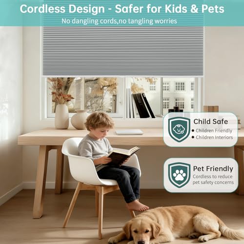 https://m.media-amazon.com/images/I/51boecgfXbL.jpg