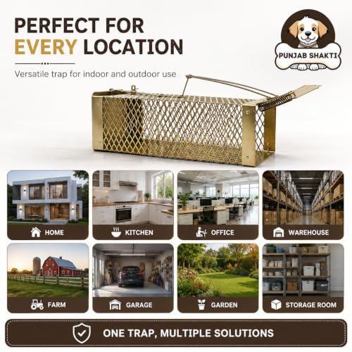 Image of Heavy Duty Rat Catcher Trap - Humane & Reusable Mouse Trap for Home, Office & Warehouse - Easy to Set, Strong & Reliable Rodent Control (Small)