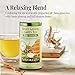 The Republic of Tea Honey Ginseng Green Tea, 50 Tea Bags, Relaxing Chinese Green Tea Gourmet Blend