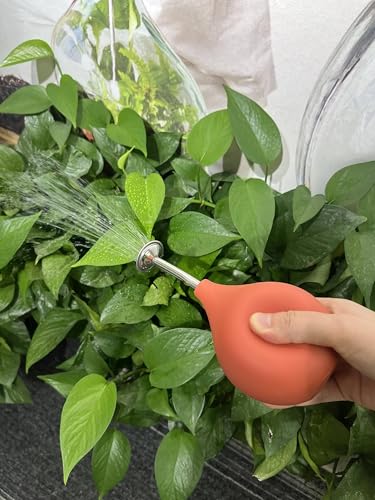 Allrounda Gießbrause Ball Sprüher Edelstahl Ausguss, Gießkannen Alternative für kleine Pflanzen Stecklinge Blumen Setzlinge (Terracotta/Rot)