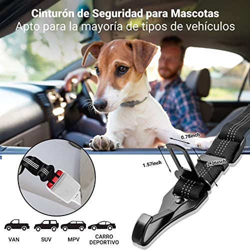 Perros sujetadores de carga 8 Imagen adicional