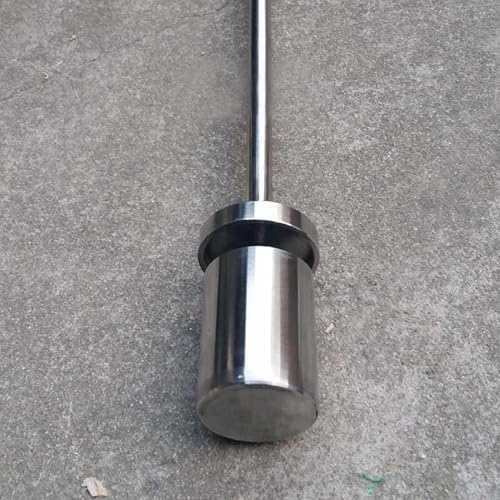 Sonde d'échantillonnage de Liquide en Acier Inoxydable pour Laboratoire et Usage Industriel, échantillonnage de précision avec Construction Durable en Acier 304