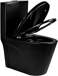 Vaso Sanitário Monobloco Caixaacoplada Privada Londres Preto