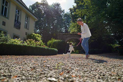 HUNTER Verstellbare Hundeführleine FREESTYLE, Farbe: himbeer, robust & wetterfest, 3-fach verstellbar, Tau mit Polyamid-Kern, liegt weich in der Hand, pflegeleicht, Größe: 10/200