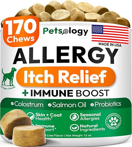 Dog Allergy Relief Chews - 170 Dog Allergy Chews - Itch Relief for Dogs - Omega 3 Fish Oil, Probiotics For Itchy Skin & Hot Spots Allergies, Paw Licking, Dry Skin & Coat Supplement - Beef Liver Flavor