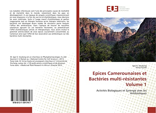 Epices Camerounaises et Bactéries multi-résistantes Volume 1: Activités Biologiques et Synergie avec les Antibiotiques (Omn.Univ.Europ.) (French Edition)