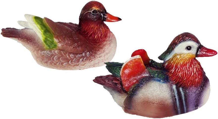 esca per anatra per stagno