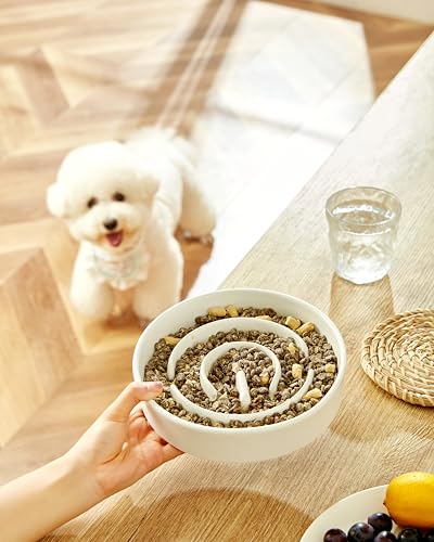 MOPANG Anti Schling Napf für Hunde, Antischlingnapf Keramik, Slow Feeder für Mittelgroße/Große Hunde, Ø 21cm, 1000ml, Elfenbeinweiß