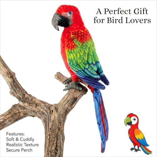 Image of Tickles Cute Parrot Soft Stuffed Plush Bird Toy for Kids Boys & Girls Birthday Gifts (Size: 30 cm Color: Multicolor)