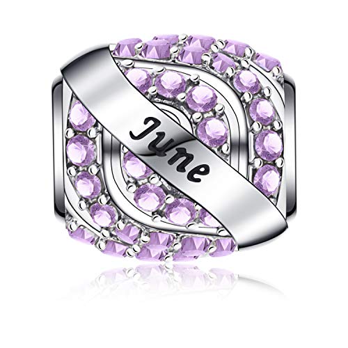 Hicarer Birthstone Bead Charms for Bracelet Necklace Colored Bead Openwork Charms Happy Birthday Charms for Jewelry Making (June)