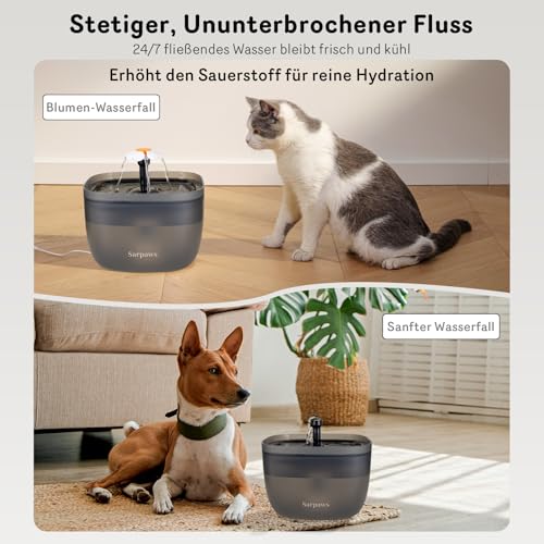 Automatischer Katzenfutterspender und Wasserspender FW1, Draht oder Batterie Katzenfutterspender Timer Pet Feeder - Verriegelbarer Deckel, Trockenmittelbeutel, programmierbare Portionskontrolle