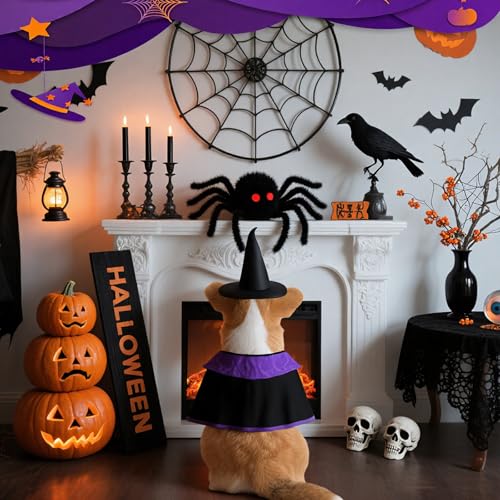 Disfraz de Bruja para Perro Mediano y Grande Halloween miniatura 6