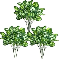 12 Bundles Watermelon Leaves